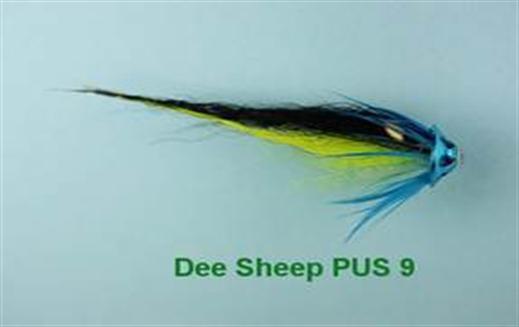 Dee Sheep PUS 9