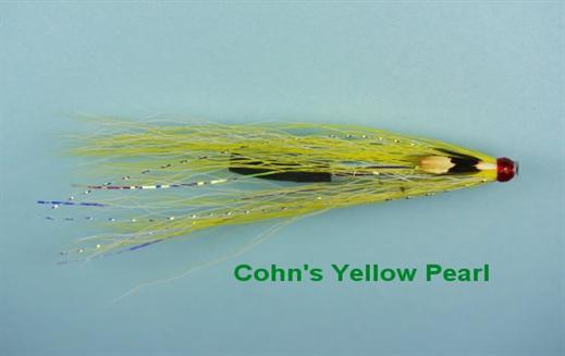 Cohns Yellow Pearl