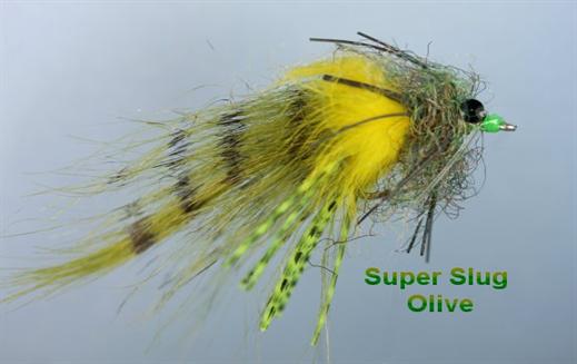 Super Slug Olive