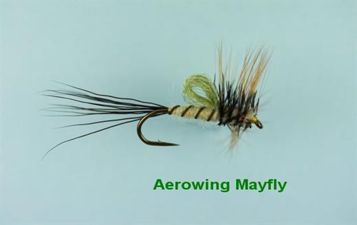 Aerowing Mayfly