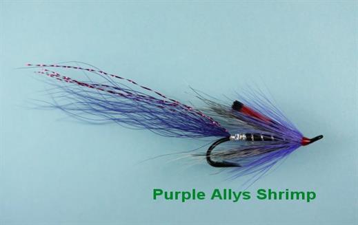 Allys Shrimp Purple