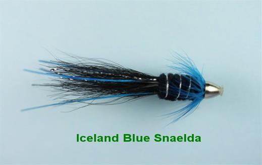 Iceland Blue Snaelda