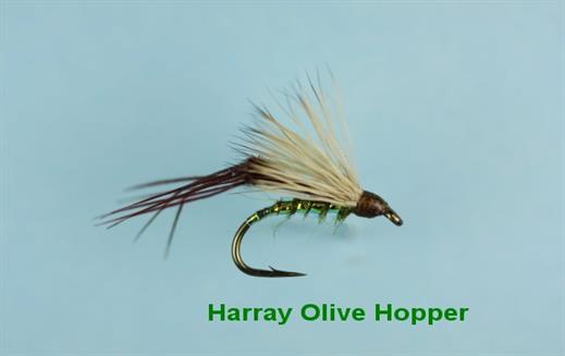 Harray Olive Hopper
