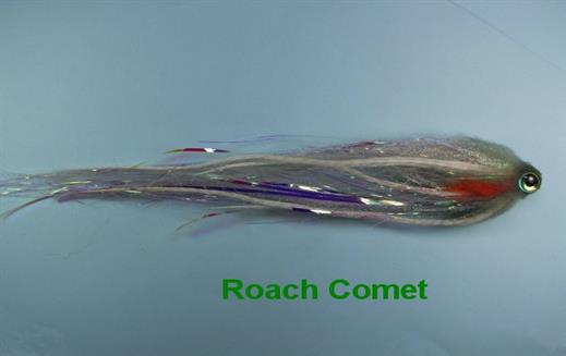 Roach Comet 