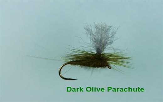 Parachute Large Dark Olive