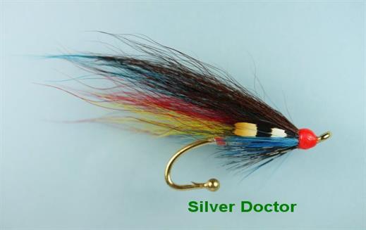 Silver Doctor Brooch Pin