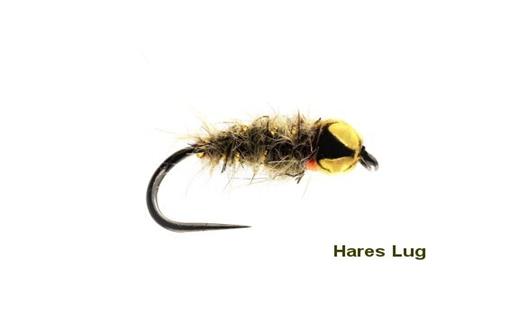 Hares Lug