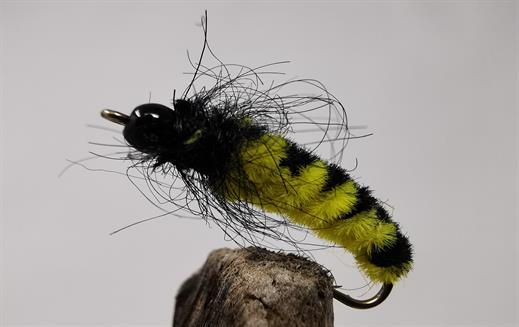 Woven Nymph Bee
