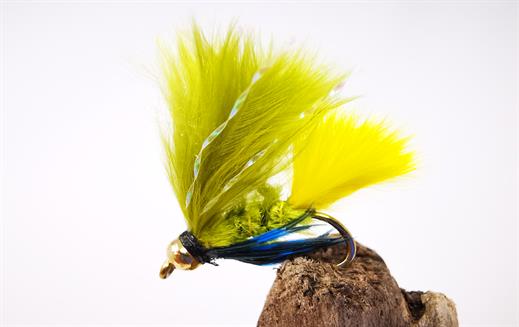 Dawsons Olive Yellow Tail