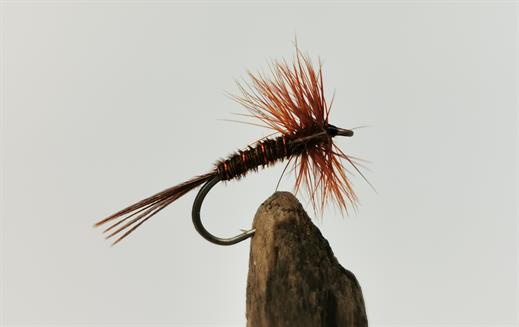 Pheasant Tail