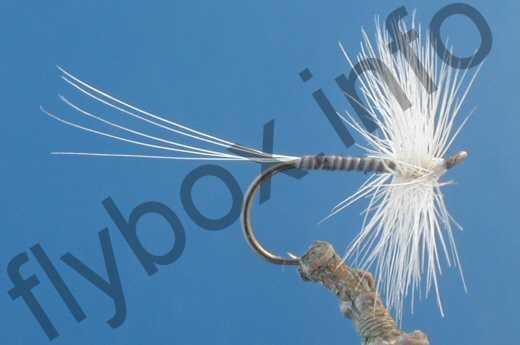 Blue Quill Hackle