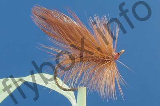 Little Brown Sedge