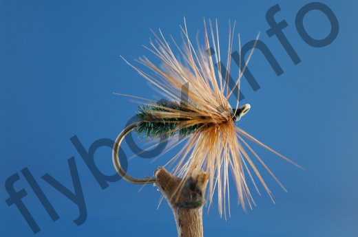 Red Hackle