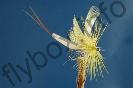 Detached Body Mayfly Yellow