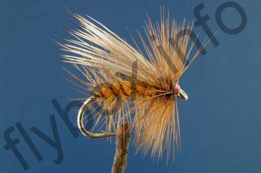 Caddis Buck Hackled