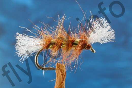 Shipmans Fiery Brown Buzzer