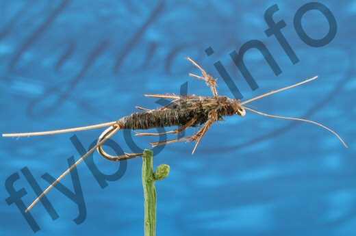 Sids Stonefly