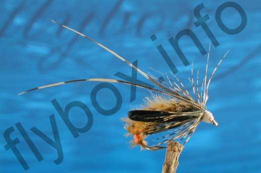 Elite Sedge Pupa