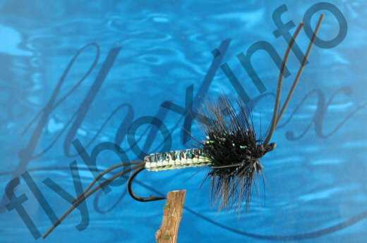 Black Woven Stonefly