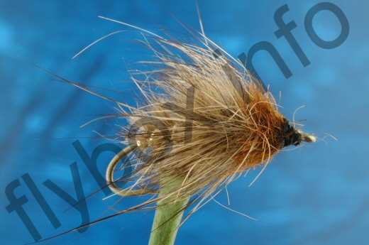 Hairy Hares Ear Larva