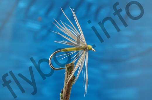 Waterhen and Yellow