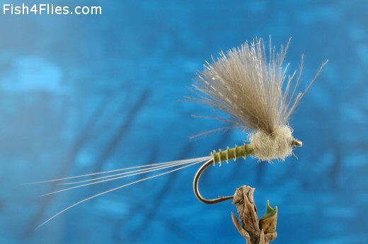 CDC Biot Comparadun Blue  Winged  Olive