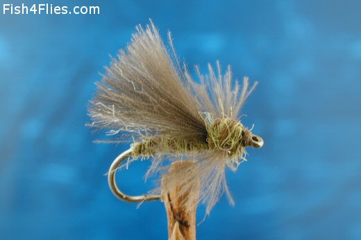 Olive CDC Adult Caddis