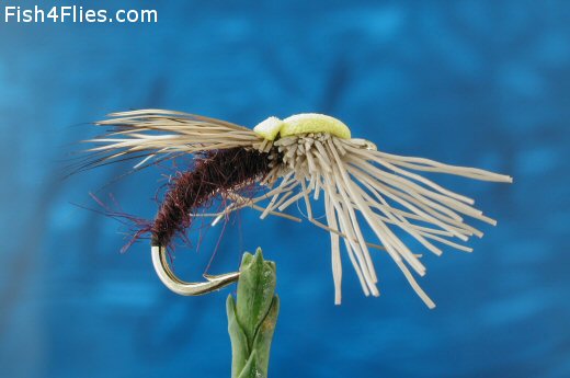 Ethafoam Sedge Crawler - Dark Claret