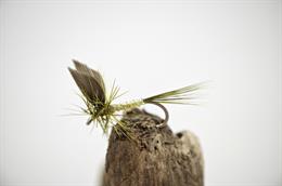 Skues Olive Dun