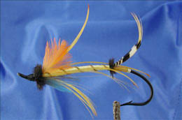 The Golden Butterfly