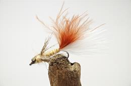 Leaded Eyed Marabuo Damsel Mayfly Nymph