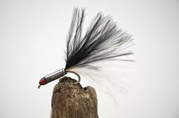 Eyed Stalking Bug Grey