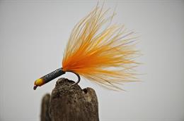 Eyed Stalking Bug Orange