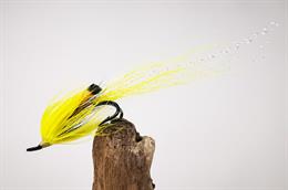 Ally's Shrimp Yellow