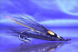 Silver Stoat's Tail JC