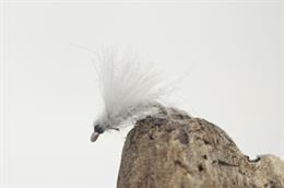 Cream La Petite Merde