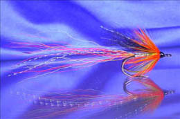 Ally's Shrimp Cascade