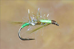 UV Straggle Olive Diawl Bach