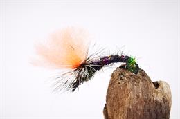 Jason's Indi Klinkhammer