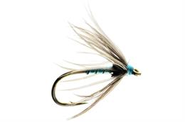 Parson's Fancy Spider