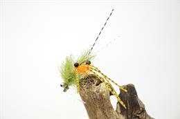 Spawning Shrimp Olive