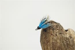 Blue and Black Longtail