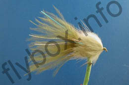 Stewart's Olive Millionaire Taddy