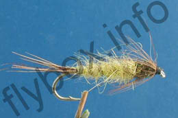 Stewart's Nymph