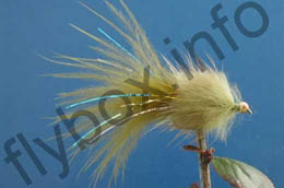 Stewart's Millionaire Taddy Olive BH