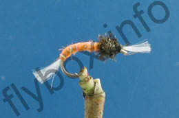 Elwyn's Orange Buzzer