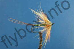 Goulden's Favourite Mayfly