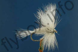 White Wulff