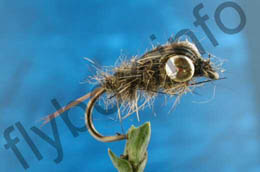 Gold  Eye Hare's Ear