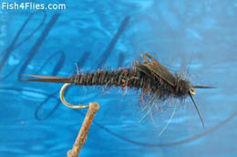 Kaufmann's Black Stone